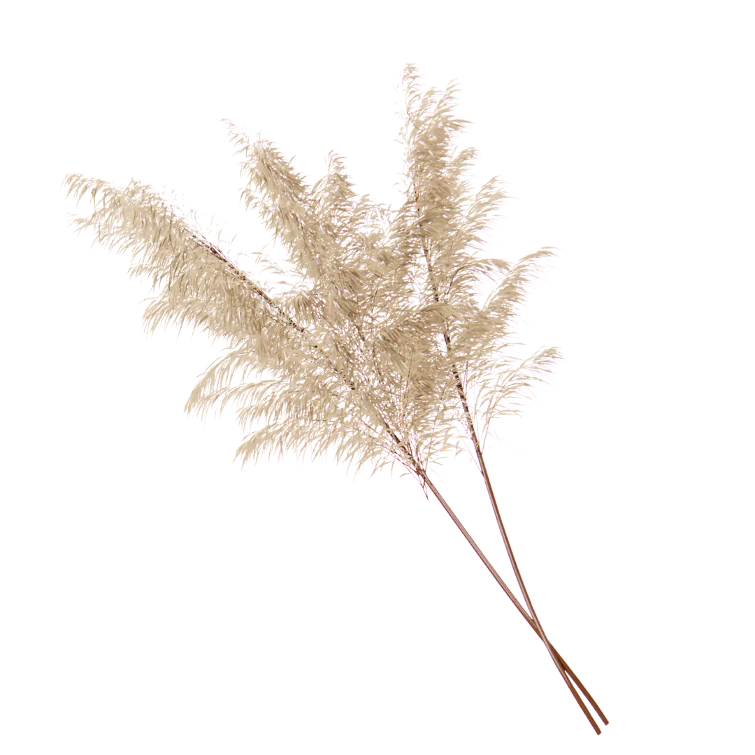 planta-portada-2