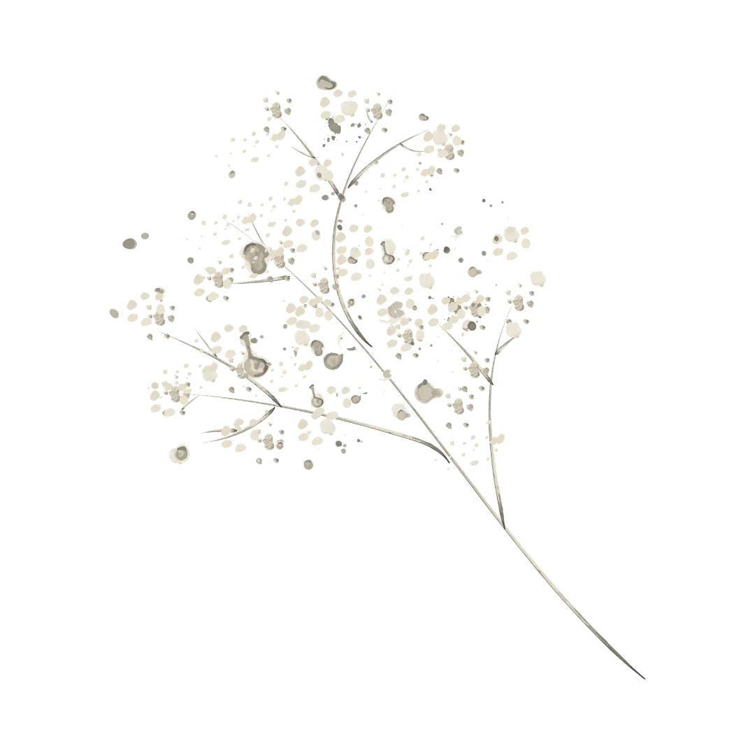 planta-portada-1